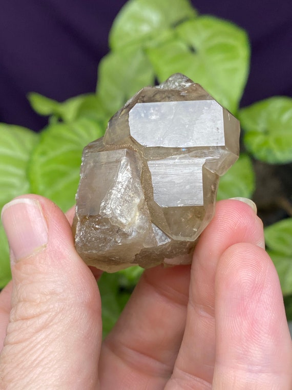 Hallelujah Junction Nevada Smoky Quartz