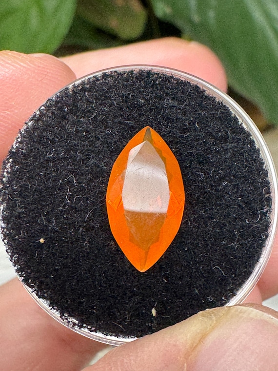 Fire Opal~Mexico~Crystalline Dream Minerals~Ledfords Minerals