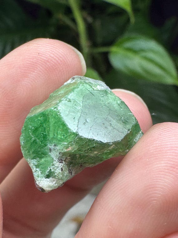Tsavorite~Merelani Hills~Tanzania~Nature Made Goods~Ledford’s Minerals