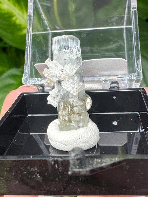 Aquamarine with Feldspar Thumbnail~Pakistan~Ledford’s Minerals