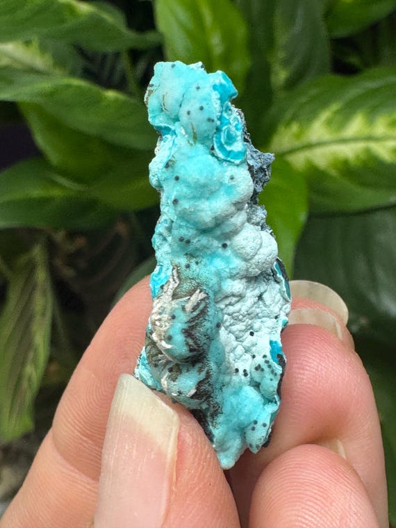 Chrysocolla~The Planet Mine~Arizona~Nature Made Goods~Ledford’s Minerals