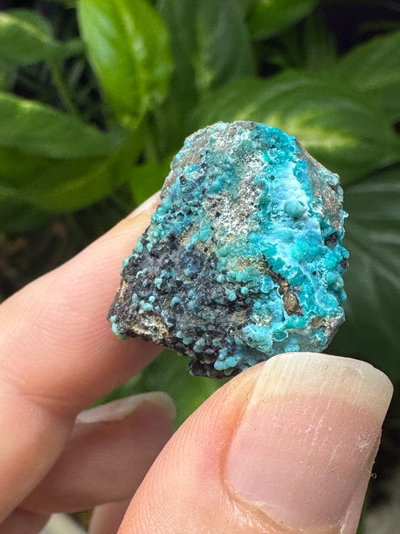 Chrysocolla~The Planet Mine~Arizona~Nature Made Goods~Ledford’s Minerals