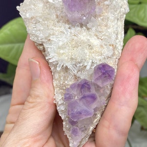 JXR アメジスト クラスター ドゥルージー - Etsy 日本