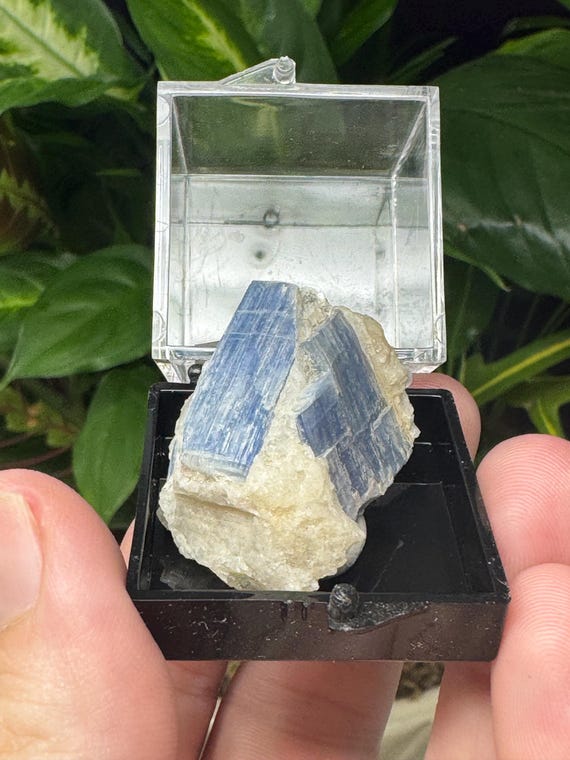 Lustrous North Carolina Kyanite Thumbnail~Ex Terry Ledford~Ledford’s Minerals