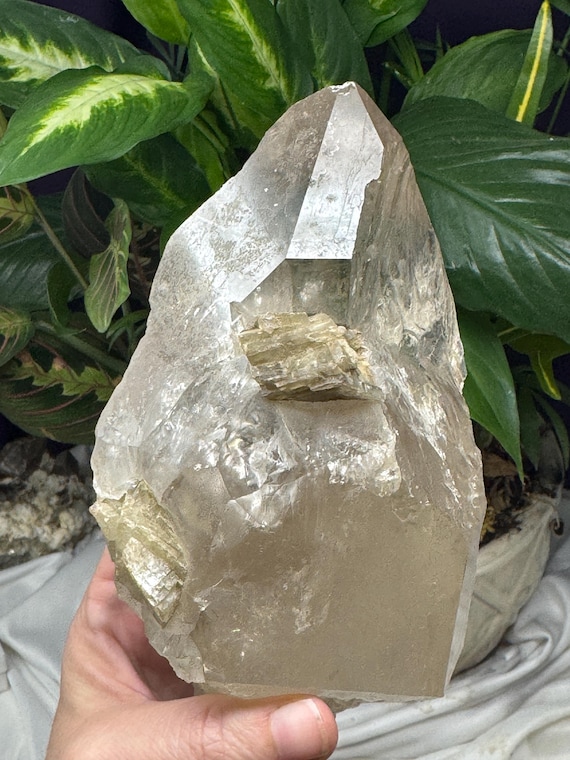 Beautiful North Carolina Quartz Cluster with Mica~Ex Terry Ledford collection~Ledford’s Minerals