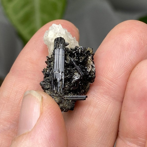 Albite with Tourmaline