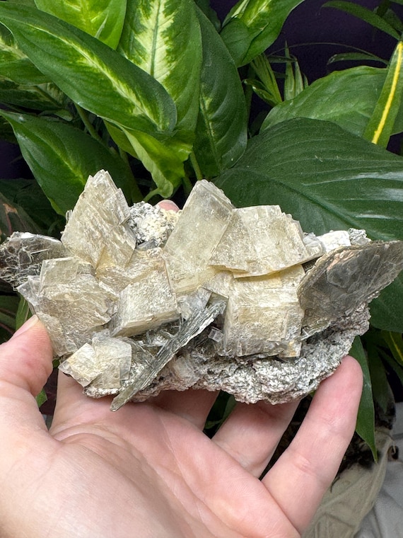 Calcite and Mica ~NAEM(North Carolina Emerald Mine)~Ex Terry Ledford~Ledford’s Minerals