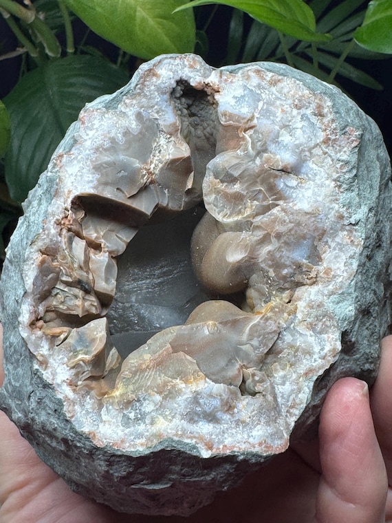 Millerite~Halls Gap, Kentucky~Ledford’s Minerals