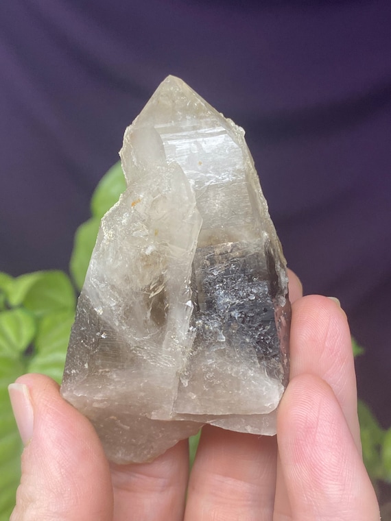 Hallelujah Junction Nevada Smoky Quartz Scepter