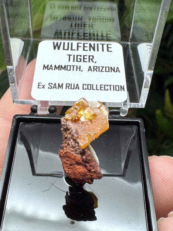 Vibrant Orange~Mammoth Arizona~Wulfenite Cluster Thumbnail~Nature Made Goods~Ledfords minerals