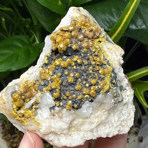 ミメタイト　鉱物標本 ミメタイトおよびウルフェナイト鉱物標本 |サンフランシスコ鉱山