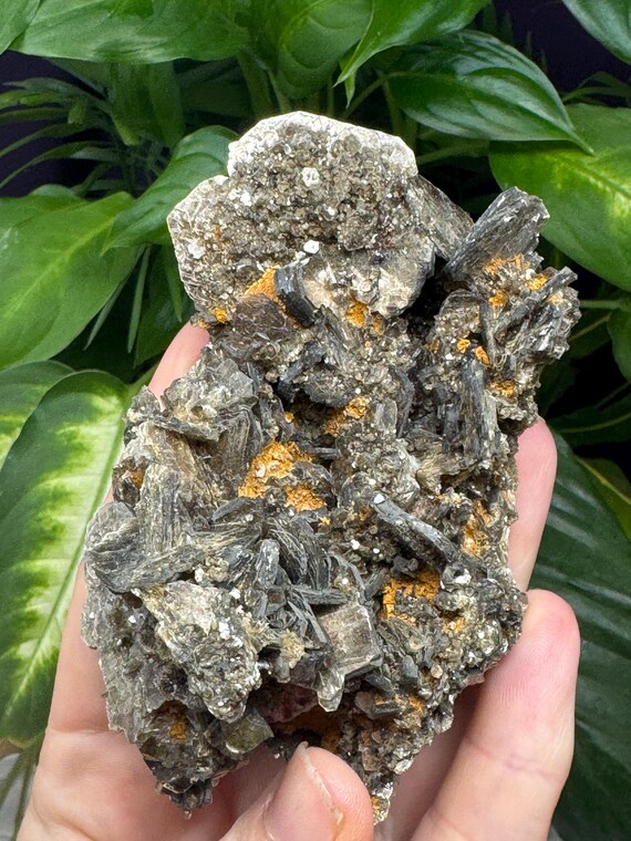 Lustrous Green Mica Cluster with Red Rutile-NAEM~Hiddenite,NC~Ex Terry Ledford Collection~Ledford’s Minerals