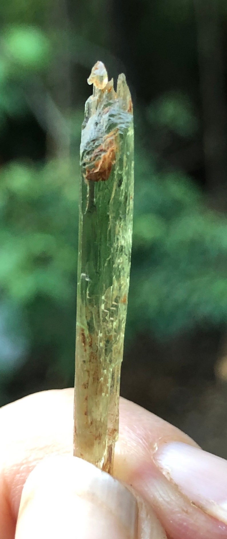 Rare Chromium Green North Carolina Hiddenite with Mud Inclusions image 1