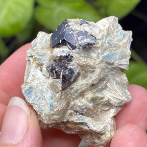 Puede incluir: Un pequeño cristal octaédrico de turmalina negra, de color gris oscuro, incrustado en una matriz de roca blanca y micácea.