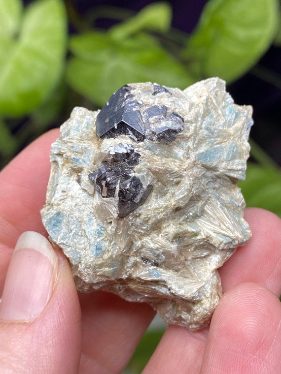 Graves Mountain Blue Kyanite and Pyrophyllite with Rutile