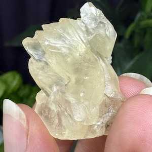 Fine Calcite~Crystal River #2 Quarry~Lecanto, Citrus County, Florida~Rare Locality
