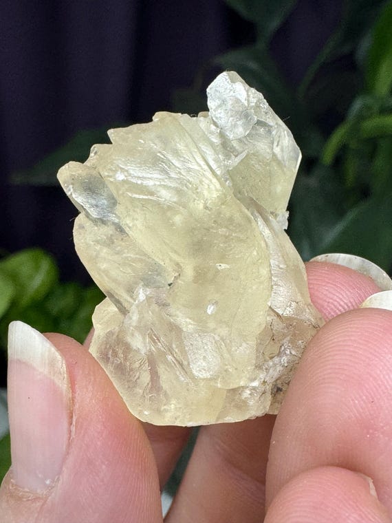 Fine Calcite~Crystal River #2 Quarry~Lecanto, Citrus County, Florida~Rare Locality