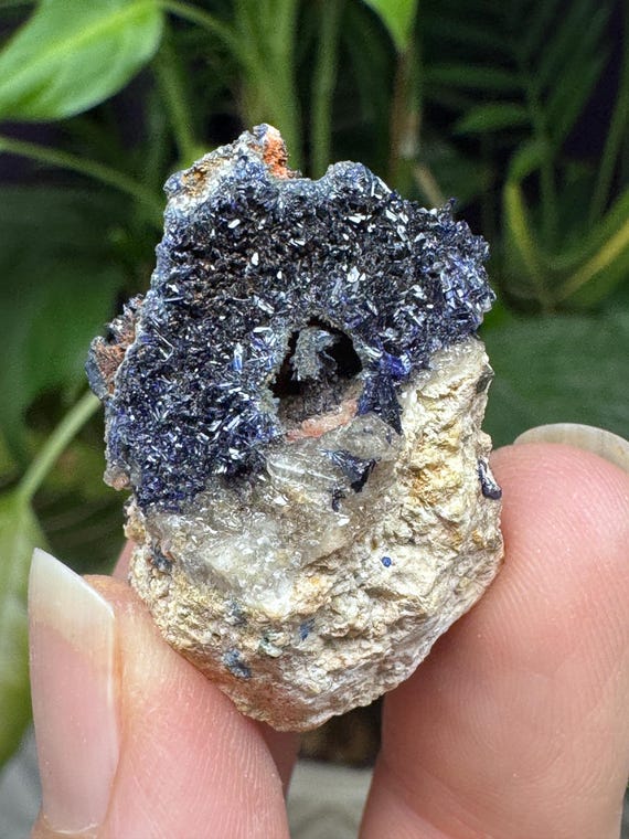Azurite~Socalo Mine~Zacatas, Mexico~Nature Made Goods~Ledford’s Minerals