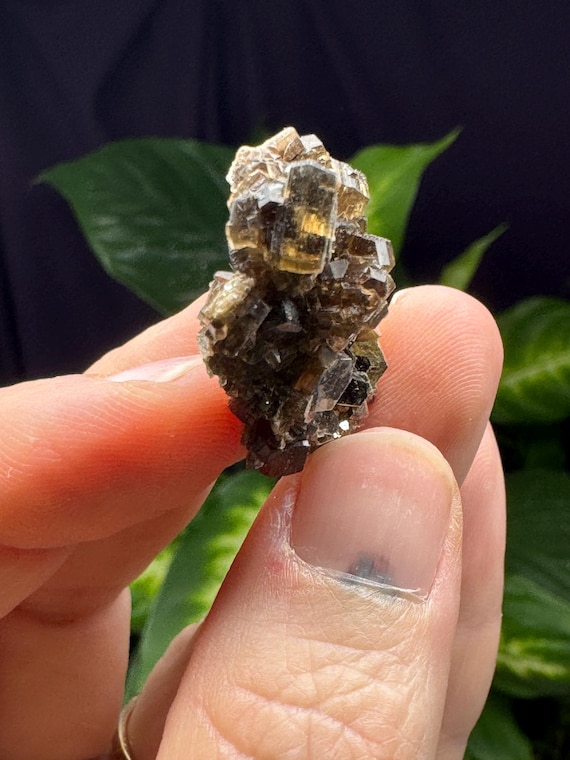 Muscovite Cluster~ Private Location, Lincolnton NC~Ex Terry Ledford Collection