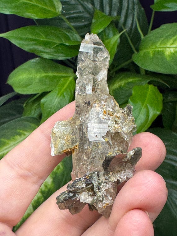 Double Terminated Quartz with Muscovite~North American Emerald Mine~Hiddenite, North Carolina~Ex Terry Ledford~Crystalline Dream Minerals