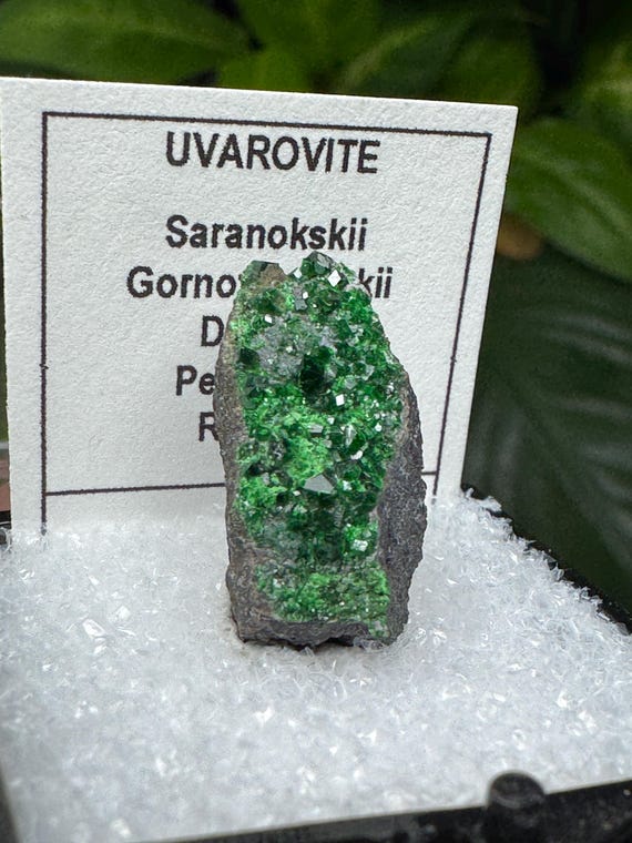 Vibrant Russia Uvarite Garnet Thumbnail~Crystalline Dream Minerals~Ledford's Minerals