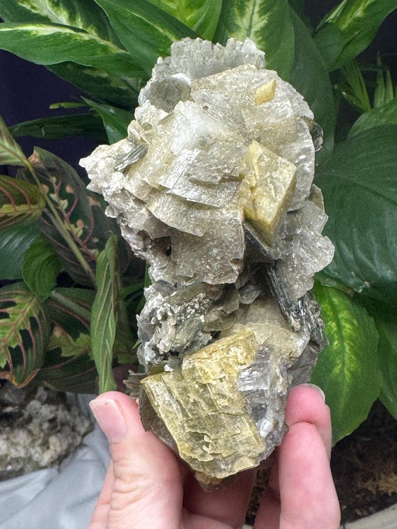 Calcite, Siderite, and Mica ~NAEM(North Carolina Emerald Mine)~Ex Terry Ledford~Ledford’s Minerals