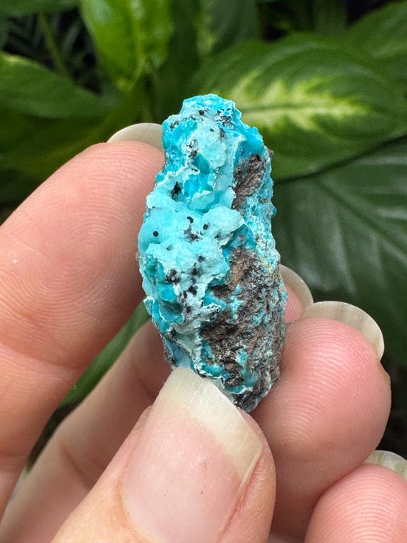 Chrysocolla~The Planet Mine~Arizona~Nature Made Goods~Ledford’s Minerals