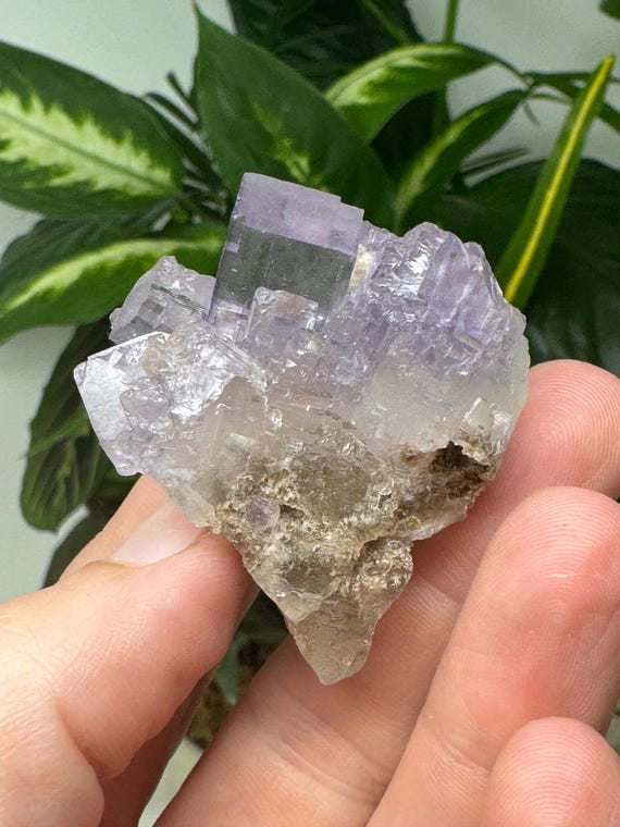 Purple Hasties Quarry Illinois Fluorite with UV Reactive Petroleum Inclusions~Ledford’s Minerals