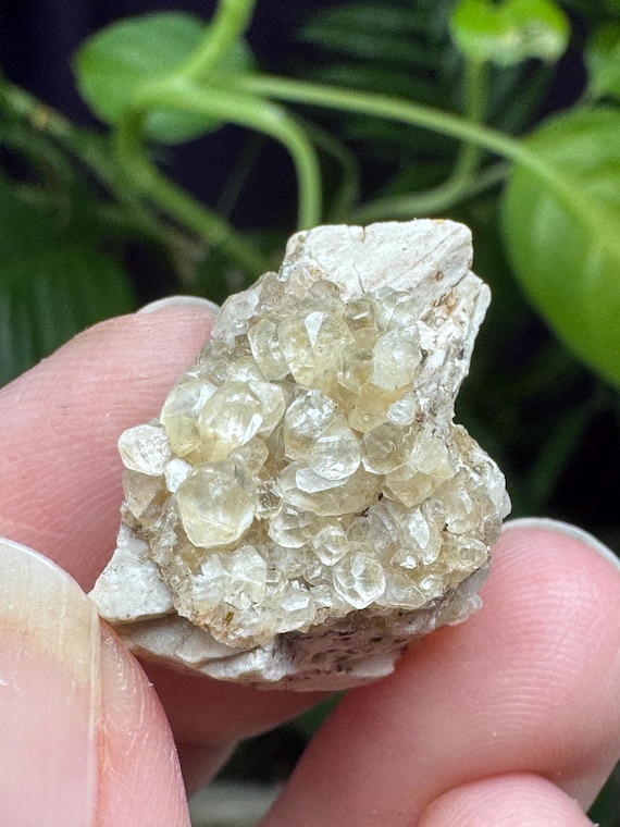 RARE FIND!! Calcite Cluster~Woodlawn Quarry~Marion, NC~Ledford’s Minerals