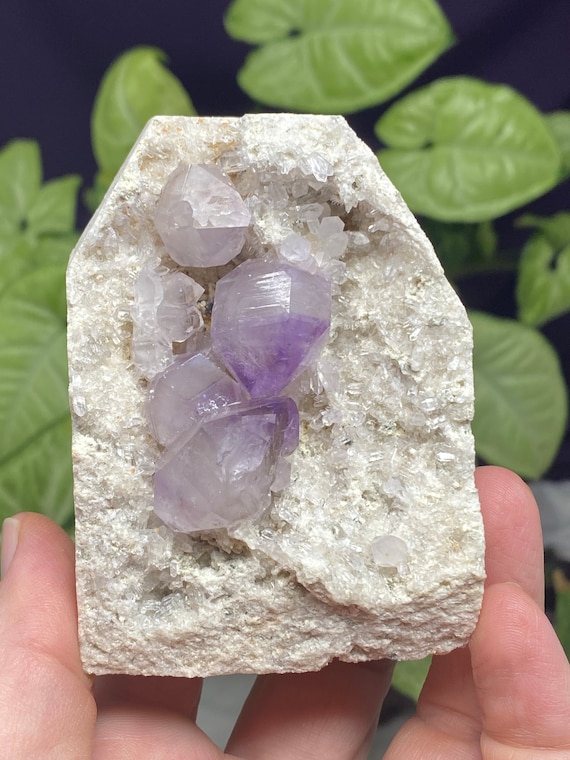 Jackson’s Crossroads Amethyst Cluster with Rosettes and Scepters on Druzy