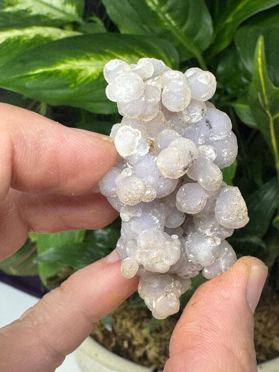 Purple Grape Agate~Indonesia ~Ledford’s Minerals
