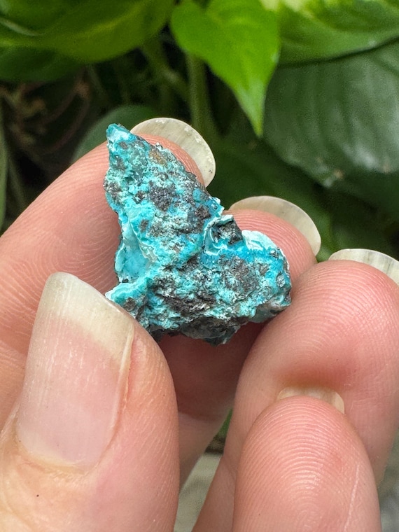 Chrysocolla~The Planet Mine~Arizona~Nature Made Goods~Ledford’s Minerals