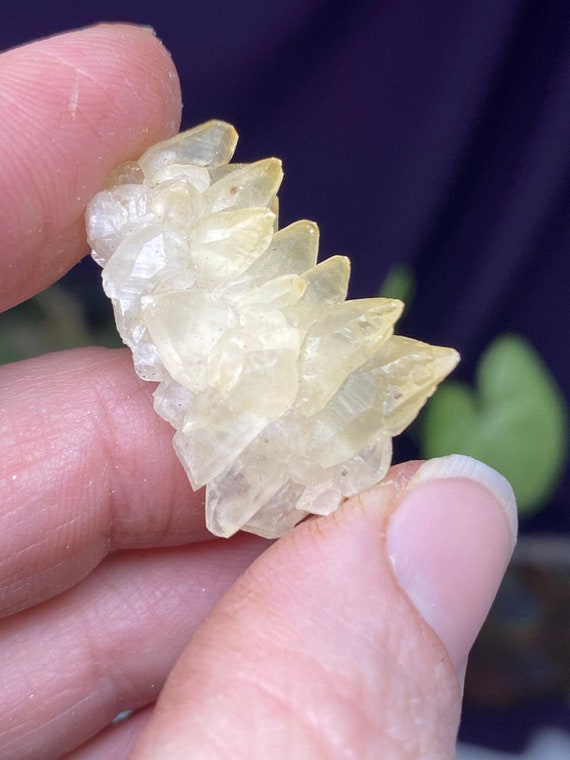 RARE Lustrous Woodlawn Quarry NC Calcite Cluster