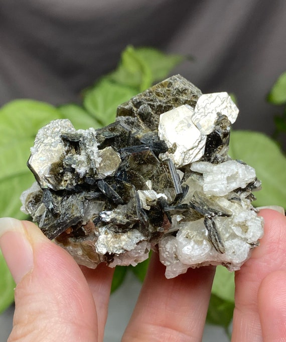 North Carolina Albite, Feldspar, and Green Mica