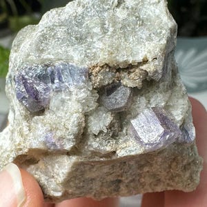 Apetite~Foote Mine~Kings Mountain North Carolina~Ledford’s Minerals