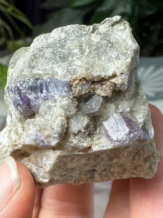 Apetite~Foote Mine~Kings Mountain North Carolina~Ledford’s Minerals