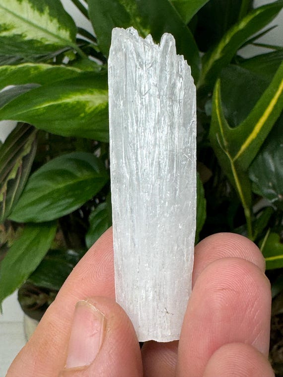 Scolecite~India~Ledford’s Minerals