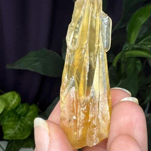 Fine Calcite~Crystal River #2 Quarry~Lecanto, Citrus County, Florida~Rare Locality