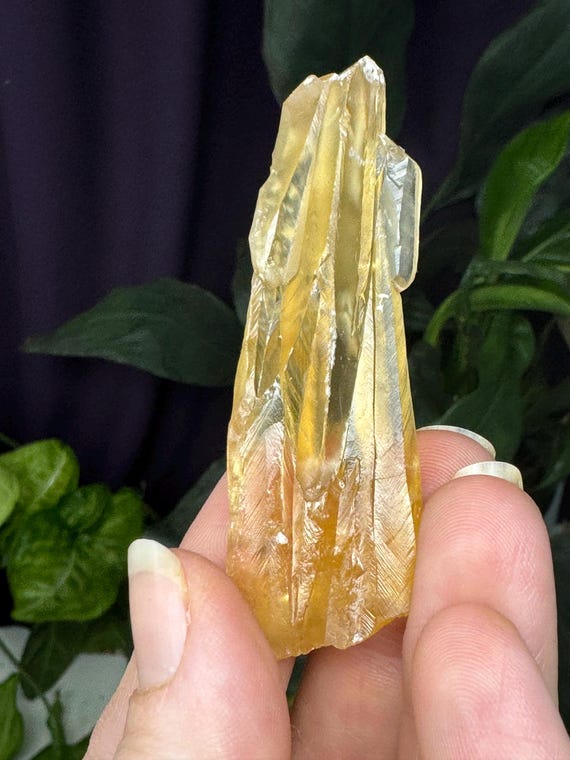 Fine Calcite~Crystal River #2 Quarry~Lecanto, Citrus County, Florida~Rare Locality