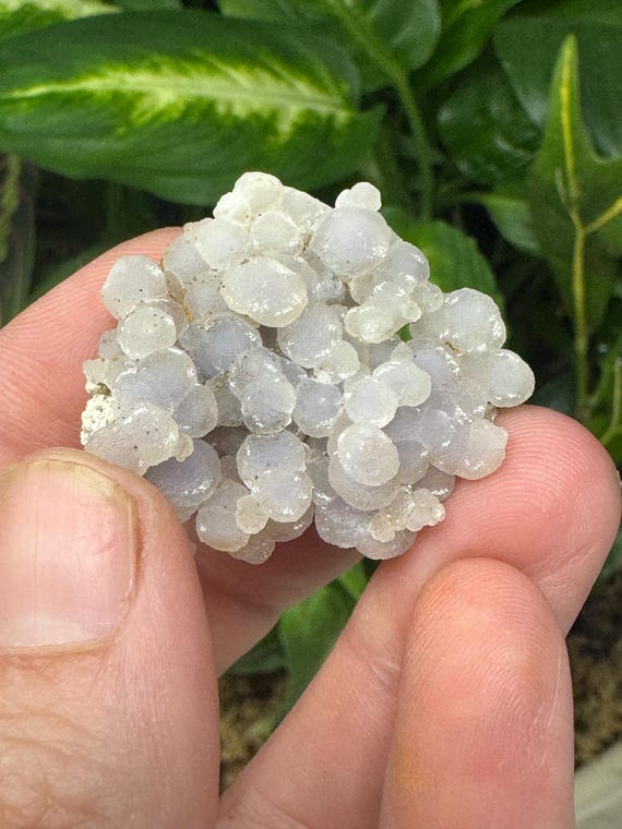 Purple Grape Agate~Indonesia ~Ledford’s Minerals