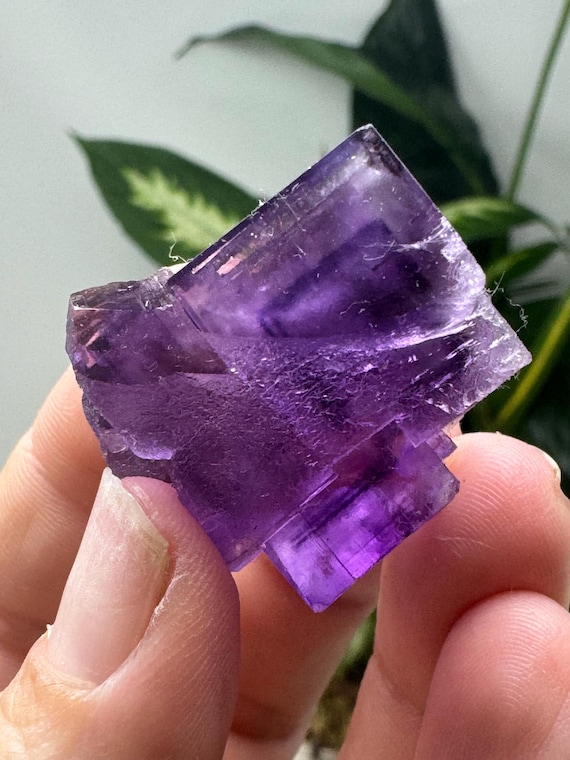 Purple Hasties Quarry Illinois Fluorite with UV Reactive Petroleum Inclusions~Ledford’s Minerals