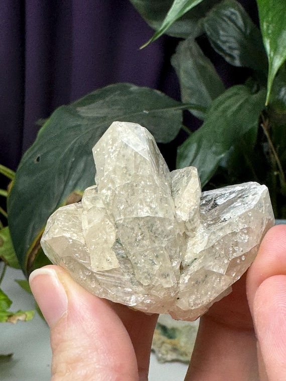 Cerrusite Cluster ~Tsumeb, Namibia~Ledford’s Minerals~Old finds