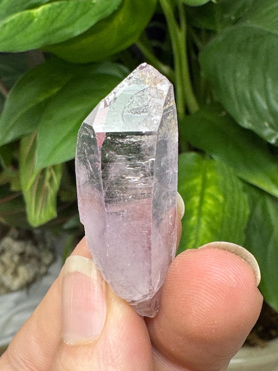 Amethyst Point~Vera Cruz Mexico~Nature Made Goods~Ledford’s Minerals
