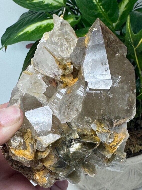 Beautiful North Carolina Quartz Cluster with Mica~Ex Terry Ledford collection~Ledford’s Minerals
