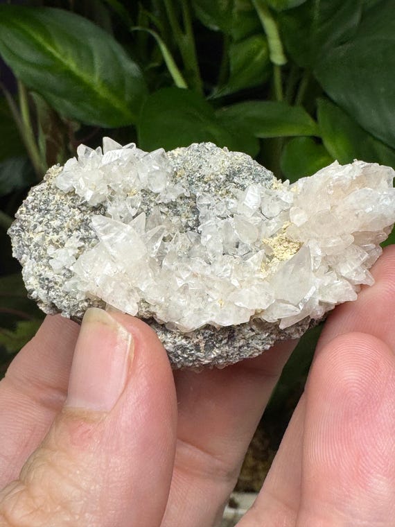 DogTooth Calcite cluster~Ledford’s Minerals