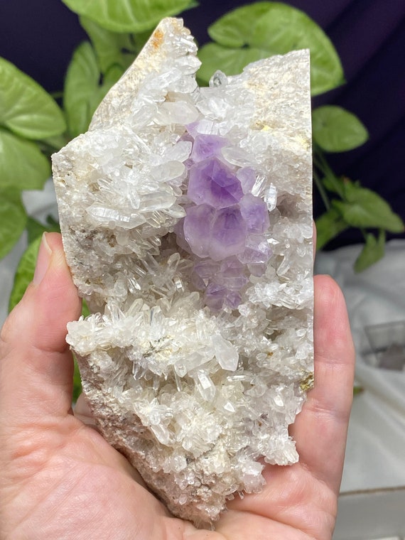 Jackson’s Crossroads Amethyst Cluster