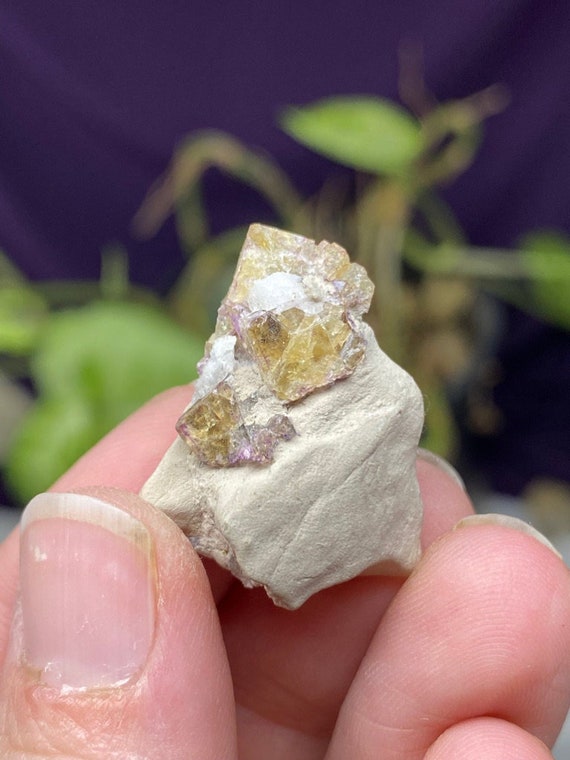 Kentucky Yellow Fluorite Cluster
