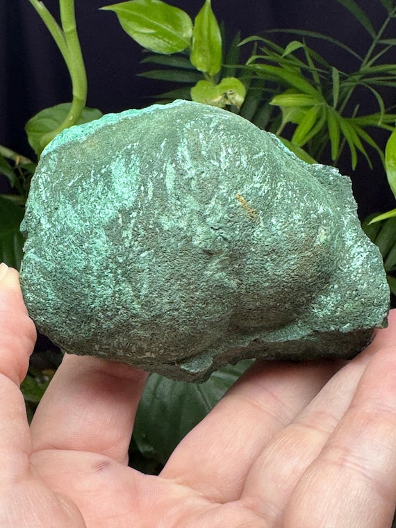 Malachite~Tsumeb~Old Collection ~Ledford’s Minerals