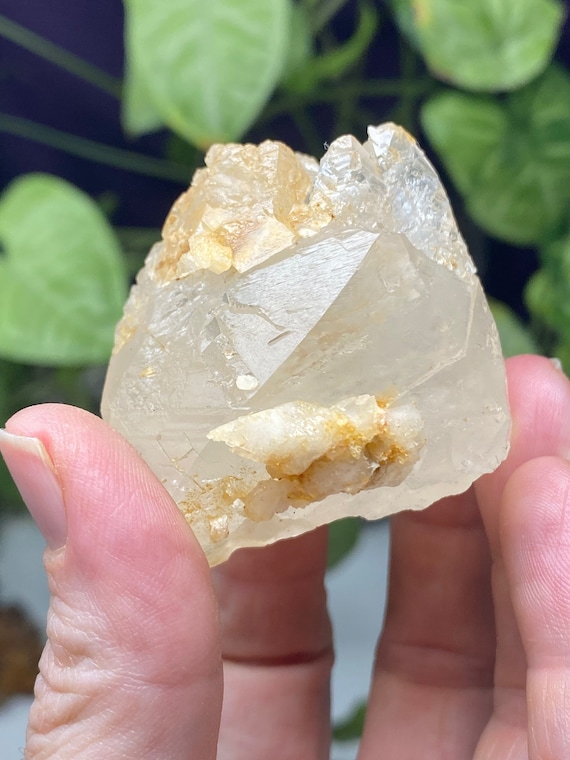 Etched Kentucky Dogtooth Calcite Cluster