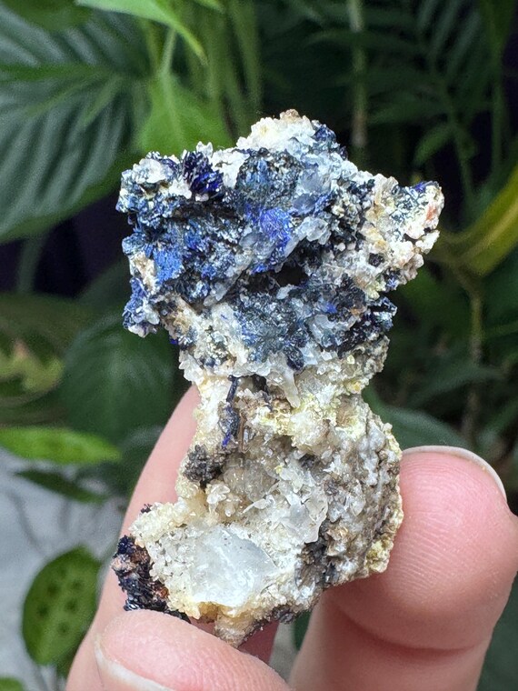 Azurite~Socalo Mine~Zacatas, Mexico~Nature Made Goods~Ledford’s Minerals